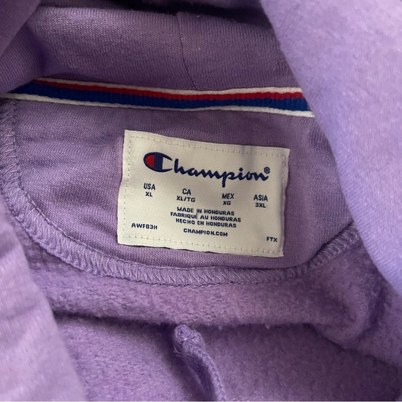 Champion Hoodie - Picture 3 of 4